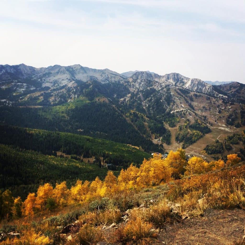 View from the Wasatch Crest Trail
